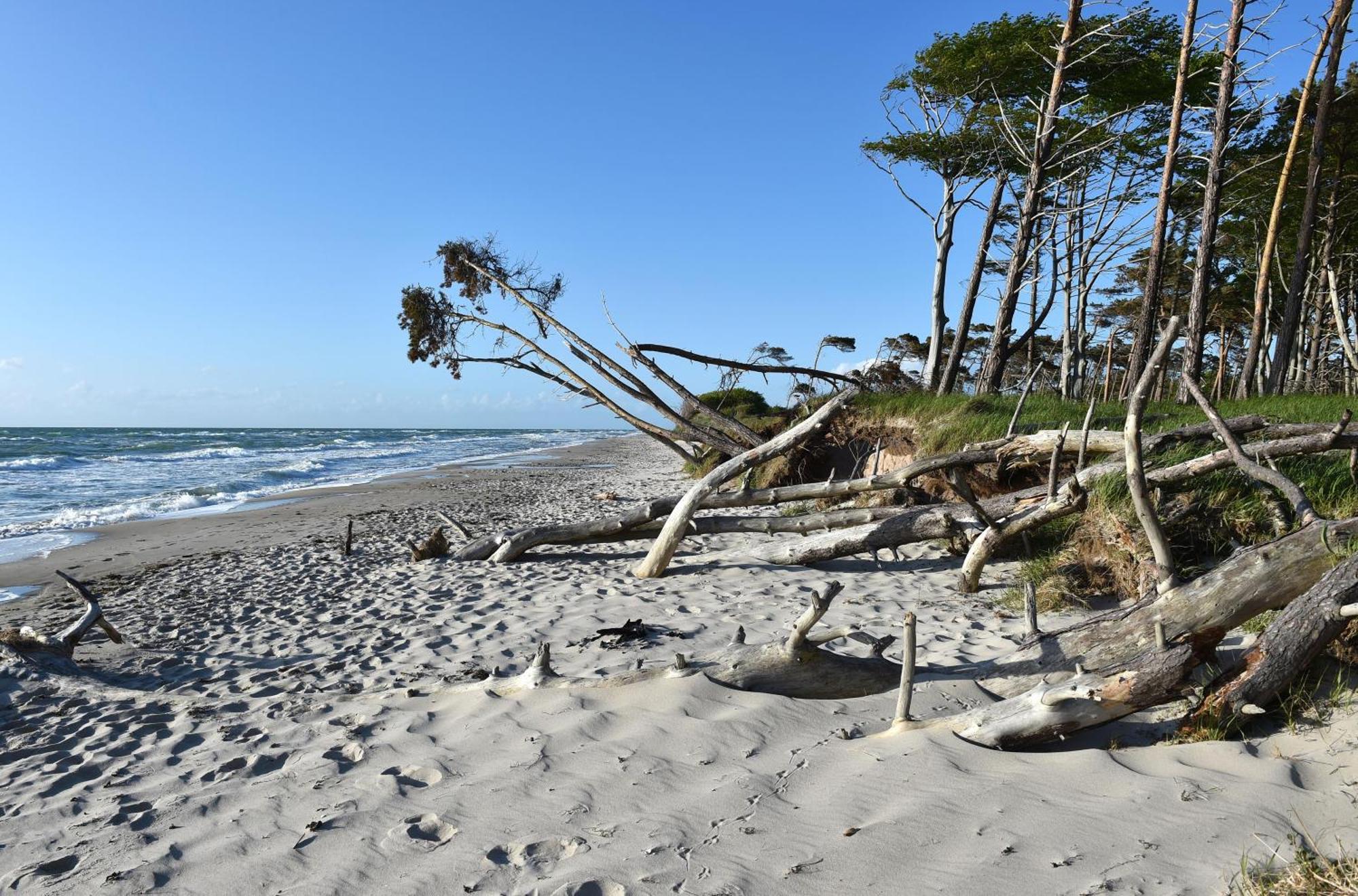 Strand Zingst Bagian luar foto